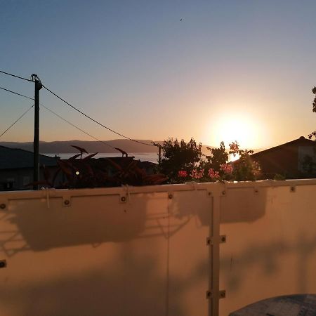 סנג' Guest House Pamela מראה חיצוני תמונה
