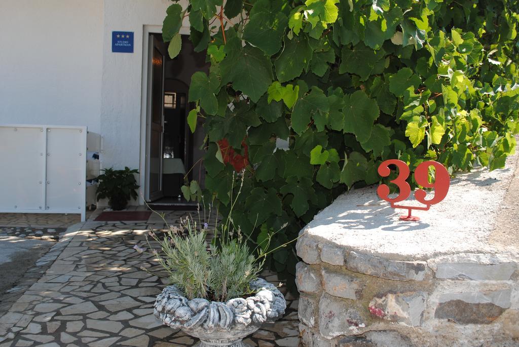 סנג' Guest House Pamela מראה חיצוני תמונה